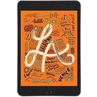 Apple iPad mini 2019 (A2133) WiFi 256GB space grau