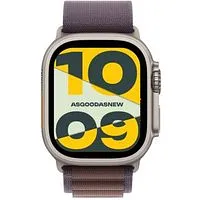 Apple Watch Ultra 2 GPS + Cellular 49mm Titan natur Alpine Loop indigo M