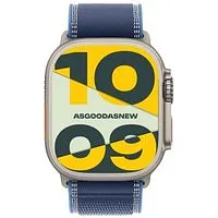 Apple Watch Ultra 3 GPS + Cellular 49mm Titan natur Trail Loop blau/hellblau M/L