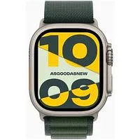 Apple Watch Ultra GPS + Cellular 49mm Titan natur Alpine Loop dunkelgrün M