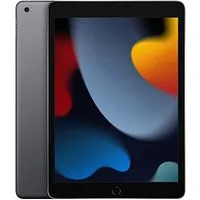 Apple iPad 2021 Wi-Fi + Cellular 256GB space grau