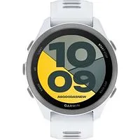Garmin Forerunner 170 steinweiß (010-03920-01) 4GB
