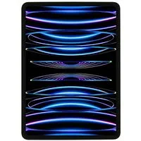 Apple iPad Pro 11" Wi-Fi + Cellular 2022 256GB space grau