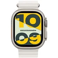 Apple Watch Ultra 2 GPS + Cellular 49mm Titan natur Ocean Armband weiß