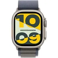 Apple Watch Ultra 2 GPS + Cellular 49mm Titan natur Alpine Loop blau S