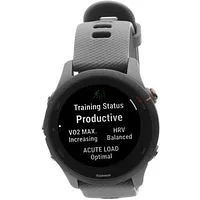 Garmin Forerunner 255 45mm schiefergrau (010-02641-10)