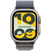 Apple Watch Ultra 2 GPS + Cellular 49mm Titan natur Alpine Loop blau L